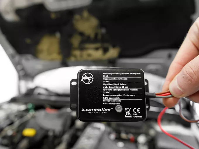 Odstraszacz gryzoni - widok w dłoni