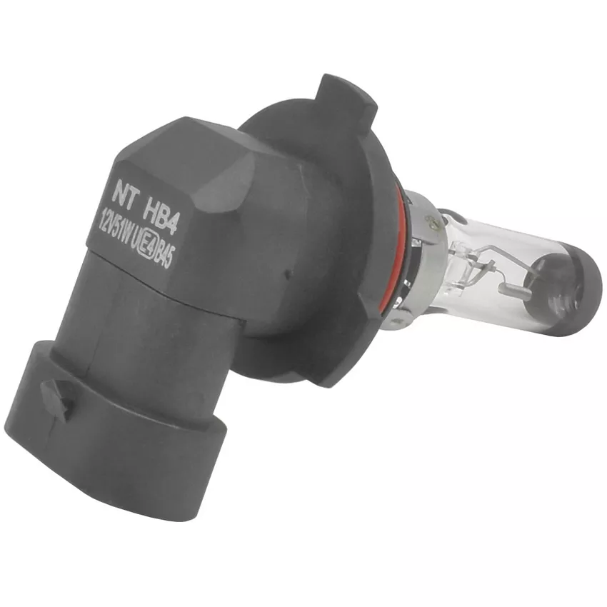 HOALTE HB4 (9006) BASIC CLEAR - widok ogólny żarówki