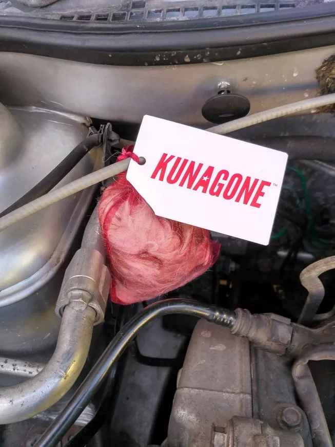KUNAGONE - zastosowanie pod maską samochodu