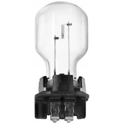 Philips PW24W 12V 24W - wygląd żarówki