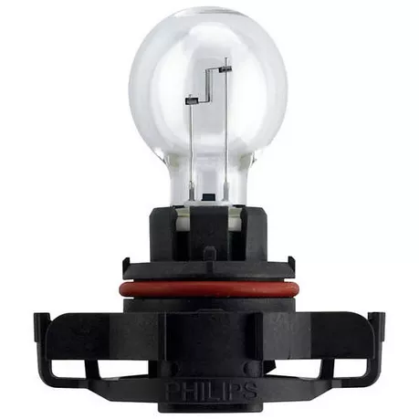 Philips PS19W 12V 19W PG20/1 – żarówka z bliska