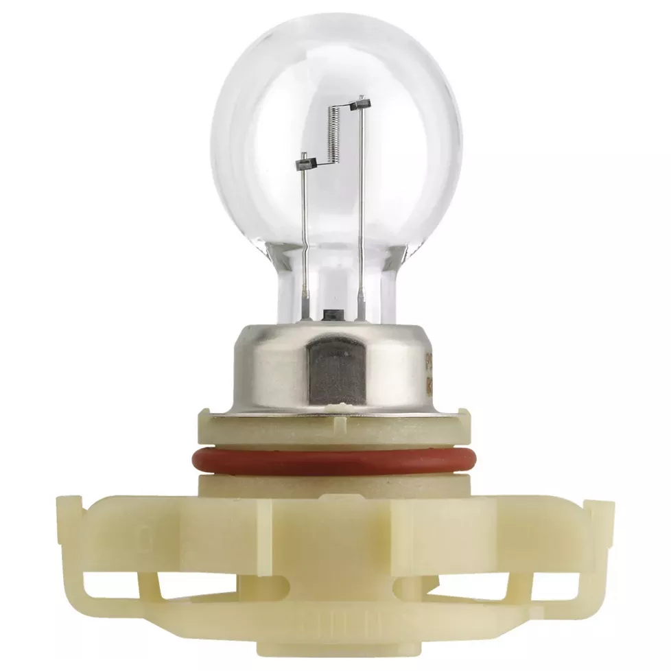 PHILIPS PS24W 12V 24W PG20/3 – żarówka z bliska