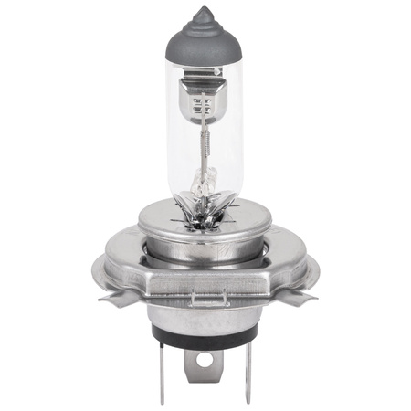 Żarówka halogenowa H7 Hoalte Basic 12V 55W