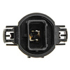 Żarówka PSY19W M-Tech Z71 12V 19W