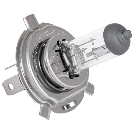 Żarówka halogenowa H7 Hoalte Basic 12V 55W