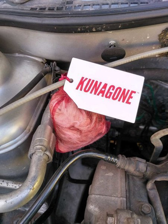 Odstraszacz kun Kunagone środek przeciwko kunom