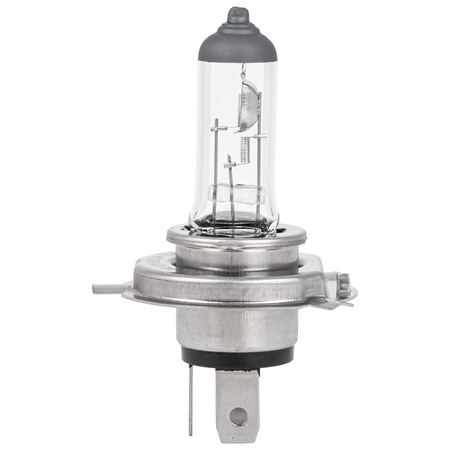 Żarówka halogenowa H7 Hoalte Basic 12V 55W