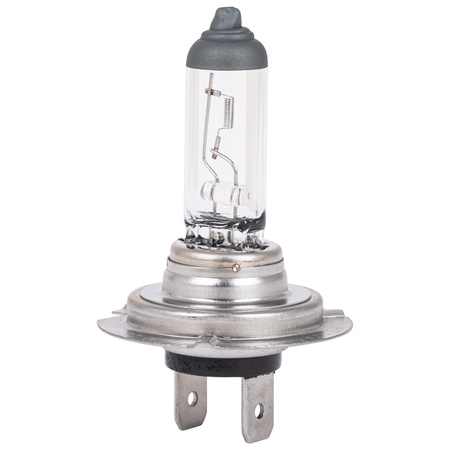 Żarówka halogenowa Hoalte Basic H4 12V 60/55W