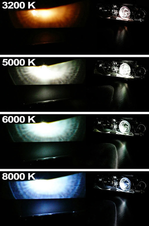 Żarnik ksenonowy Hoalte Xenon D1S Plus +50% 5000K