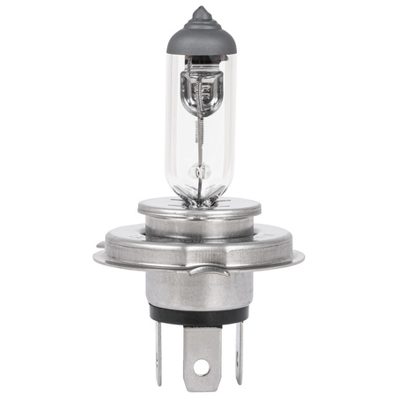 Żarówka halogenowa H7 Hoalte Basic 12V 55W