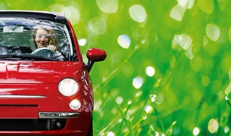 Żarówki halogenowe H1 Philips LongLife EcoVision 12V 55W